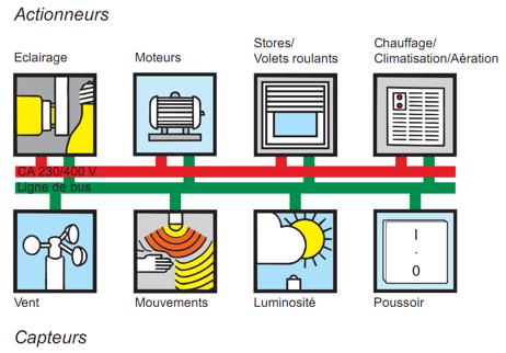 Structure_reseau_KNX Structure_reseau_KNX