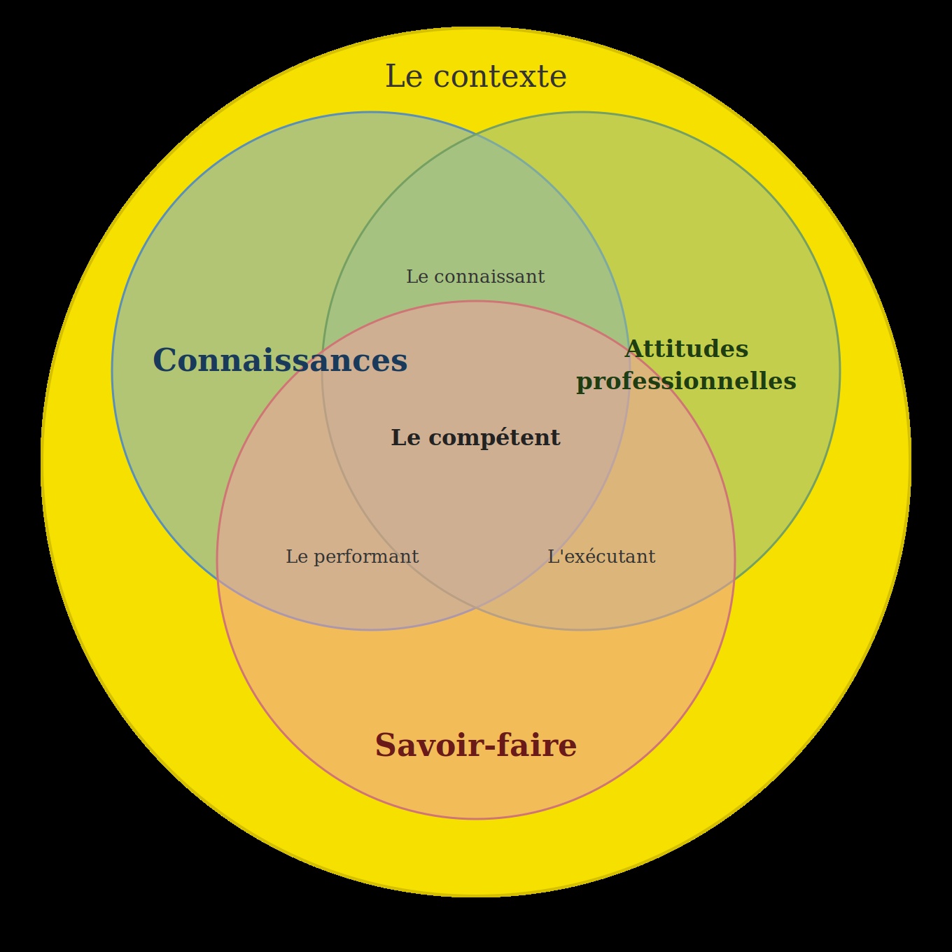 Pb affichage diagramme_competences